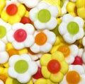 Marguerite ( Halal )