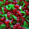 Cerise lisse 100g ( halal )