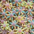 Pieuvre aciduler 100g ( halal )