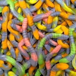 Serpent bicolores 100g ( halal )